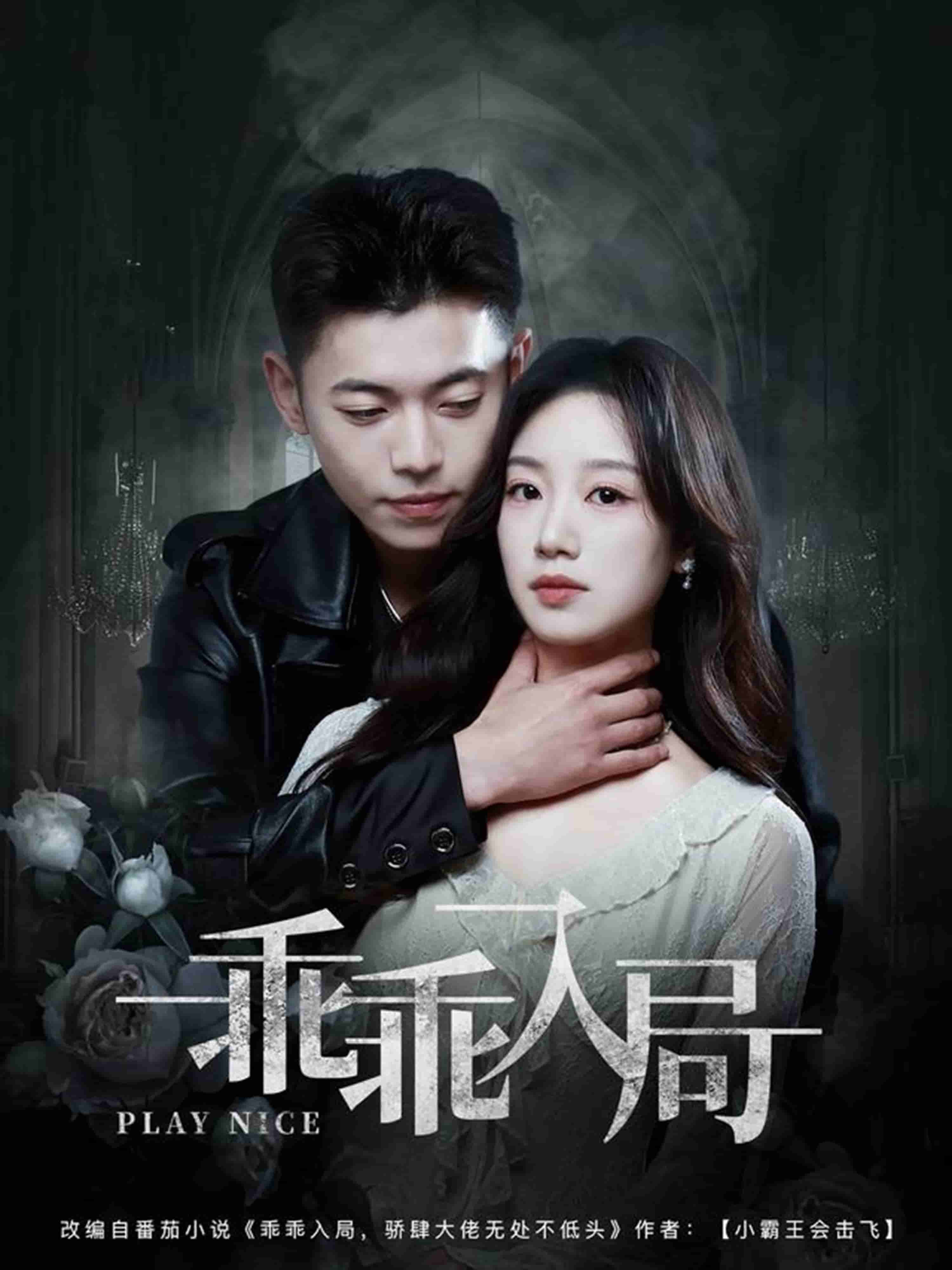 乖乖入局封面图