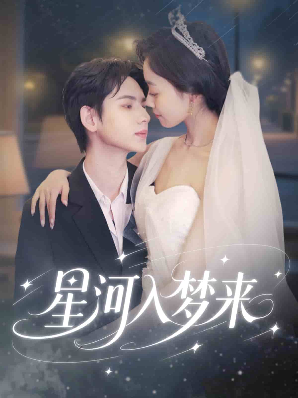 星河入梦来封面图