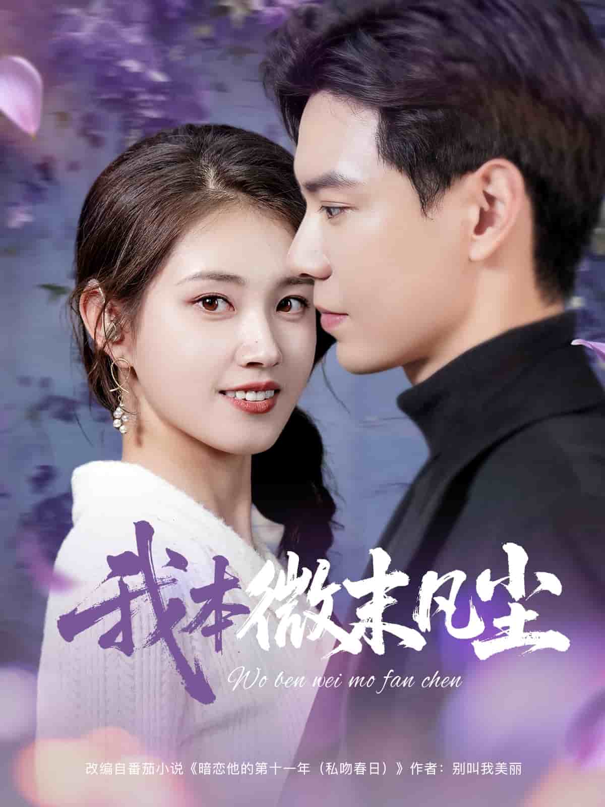 我本微末凡尘封面图