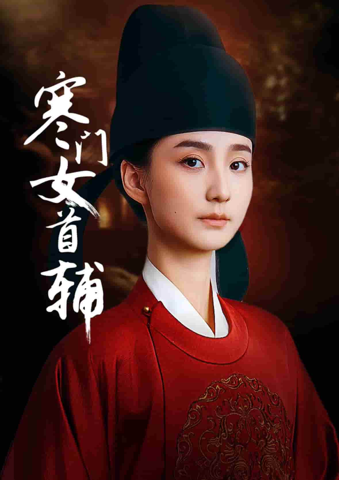 寒门女首辅封面图
