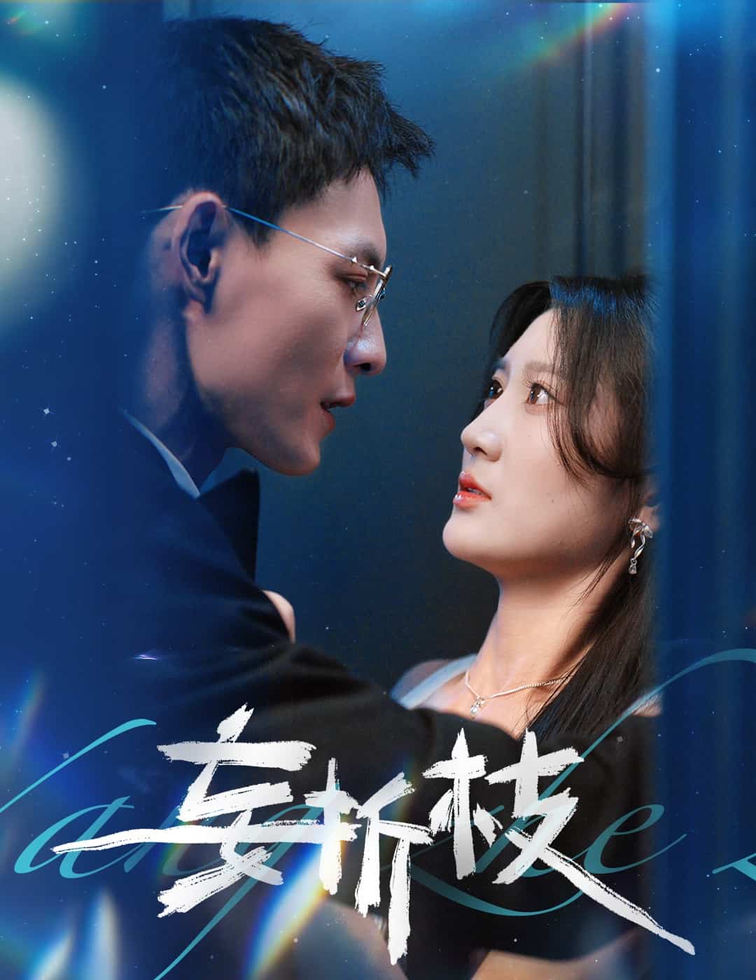 妄折枝封面图
