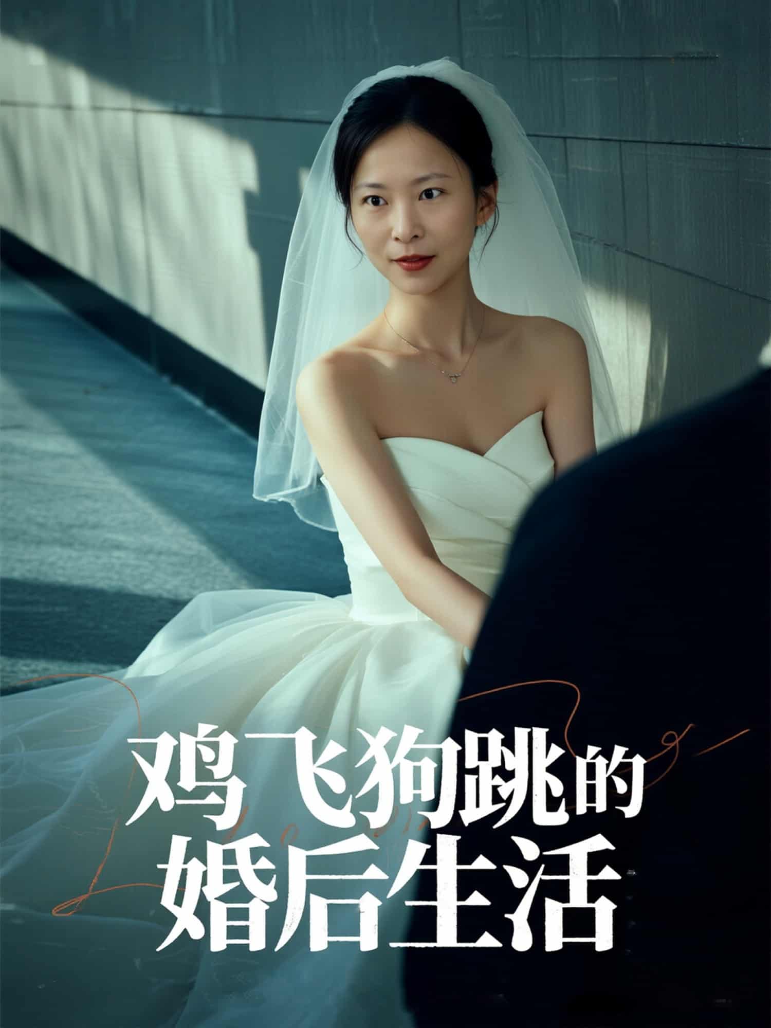 鸡飞狗跳的婚后生活封面图