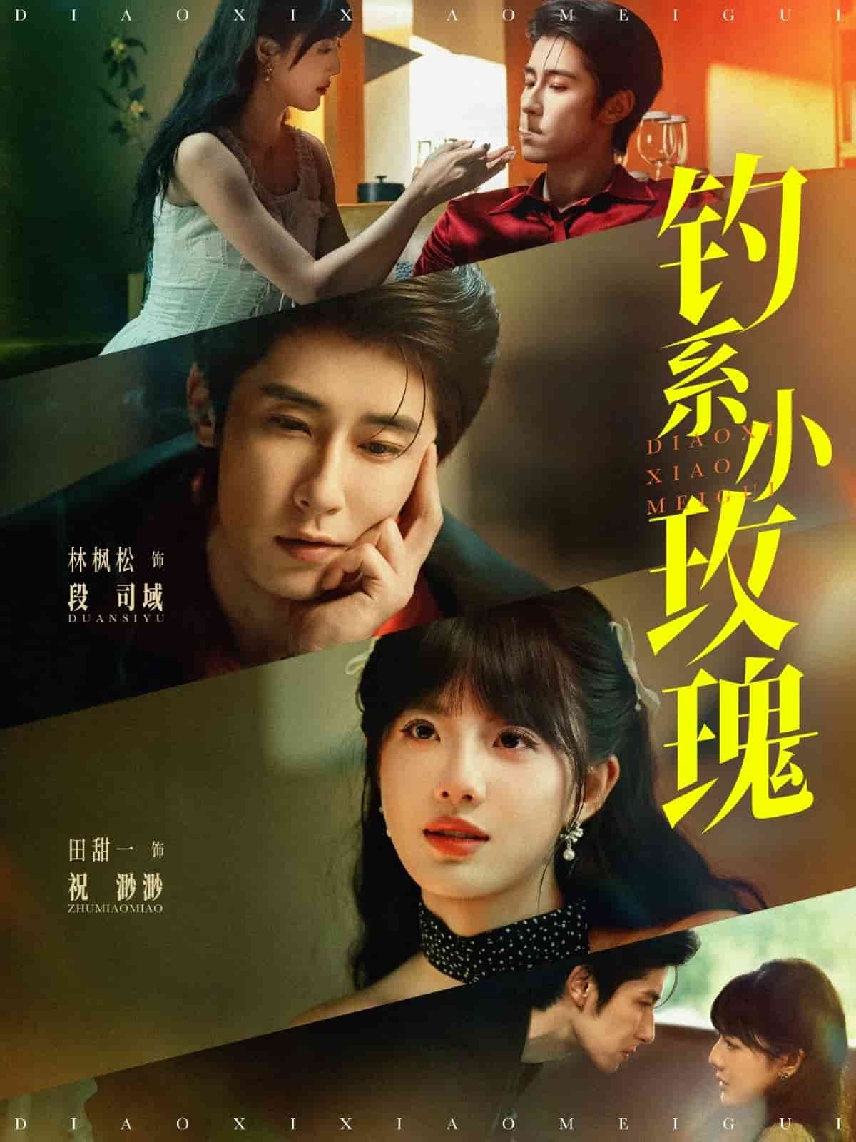钓系小玫瑰封面图