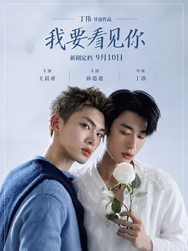 我要看见你封面图