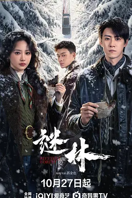 谜林封面图
